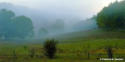 Morning Veil, Bath County