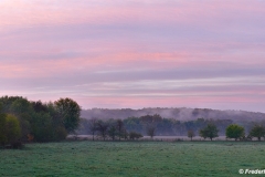 Dawn on the Potomac Plain