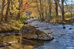 Fox-Creek-Autumn-m20-fu5