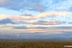 Morning, The Plains, VIrginia