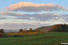 Morning in the Virginia Piedmont