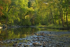 North-Fork-South-Branch-Potomac-Early-Autumn-m36