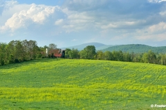 Spring Field, Flint Hill