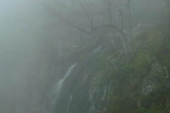 fall-to-fog